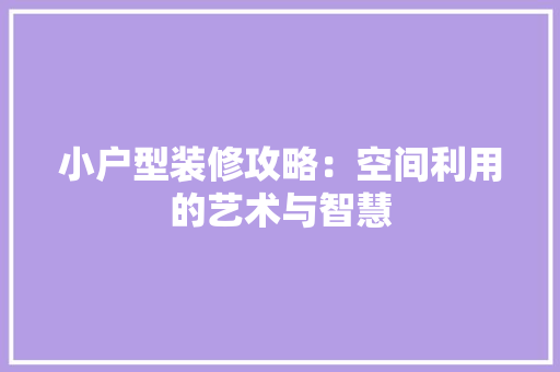 小户型装修攻略：空间利用的艺术与智慧 现代风格装饰