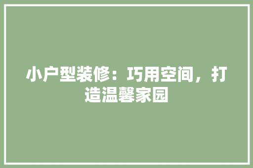 小户型装修：巧用空间，打造温馨家园 现代风格装饰