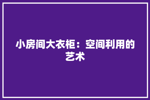 小房间大衣柜：空间利用的艺术 现代风格装饰