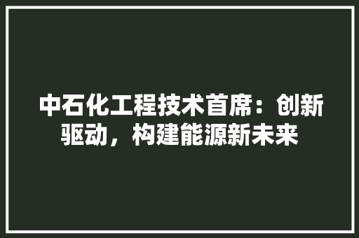 中石化工程技术首席：创新驱动，构建能源新未来 家居装修