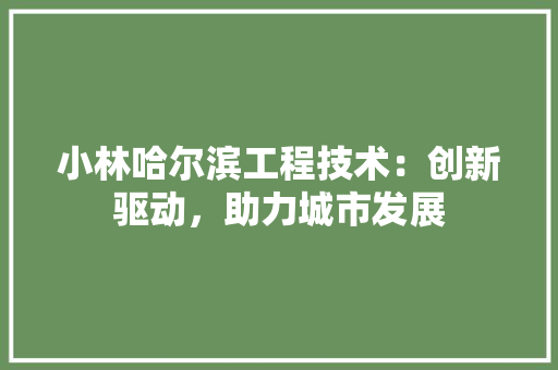 小林哈尔滨工程技术：创新驱动，助力城市发展 现代风格装饰