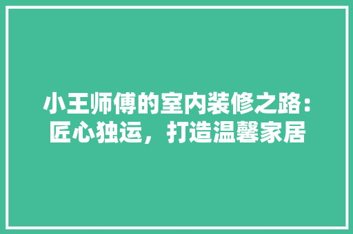 小王师傅的室内装修之路：匠心独运，打造温馨家居 现代风格装饰