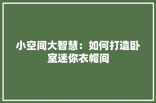 小空间大智慧：如何打造卧室迷你衣帽间 现代风格装饰
