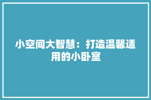 小空间大智慧：打造温馨适用的小卧室 现代风格装饰