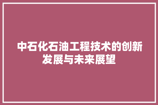 中石化石油工程技术的创新发展与未来展望 家居装修