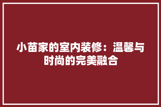 小苗家的室内装修：温馨与时尚的完美融合 现代风格装饰