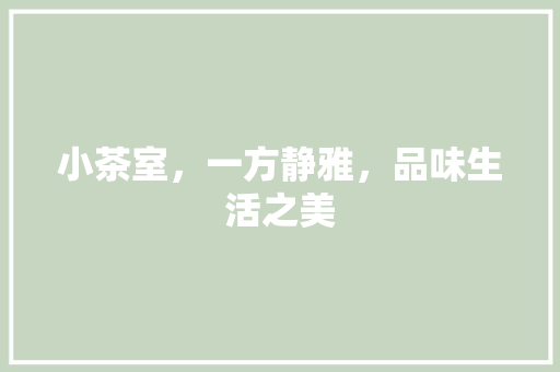 小茶室，一方静雅，品味生活之美 现代风格装饰