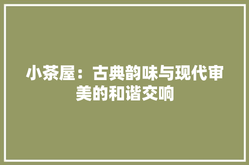 小茶屋：古典韵味与现代审美的和谐交响 现代风格装饰