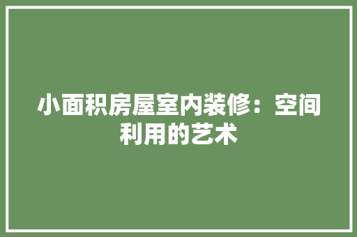 小面积房屋室内装修：空间利用的艺术 现代风格装饰