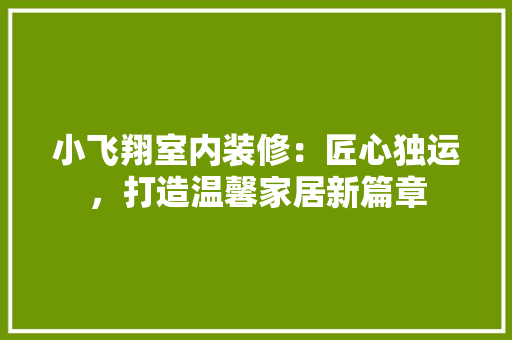 小飞翔室内装修：匠心独运，打造温馨家居新篇章