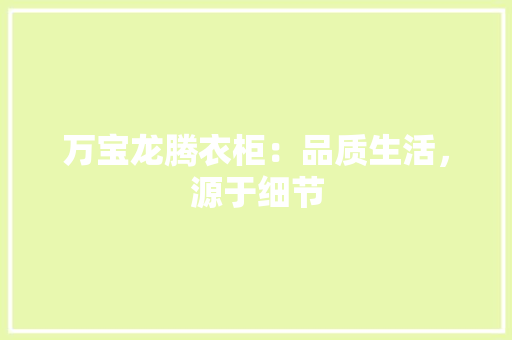 万宝龙腾衣柜：品质生活，源于细节 家居装修