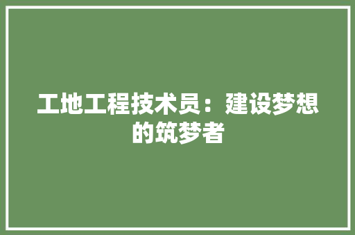 工地工程技术员：建设梦想的筑梦者 现代风格装饰