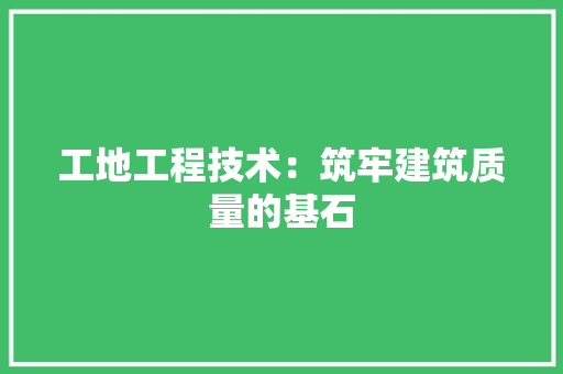 工地工程技术：筑牢建筑质量的基石 现代风格装饰