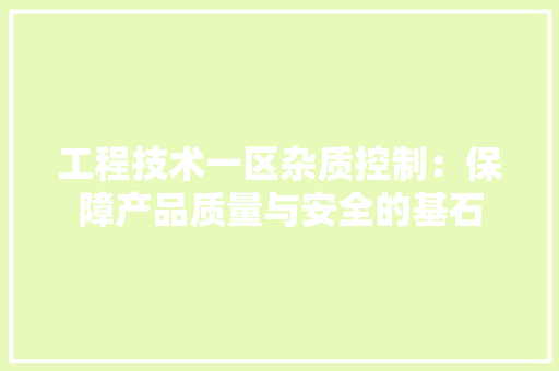 工程技术一区杂质控制：保障产品质量与安全的基石 现代风格装饰