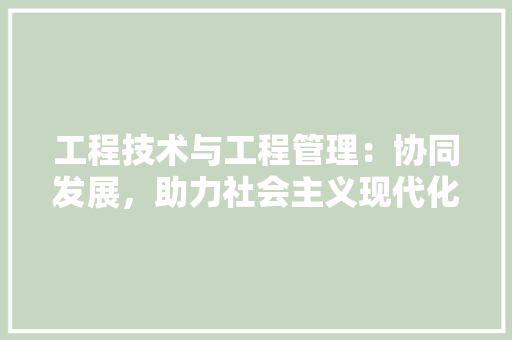 工程技术与工程管理：协同发展，助力社会主义现代化建设 现代风格装饰