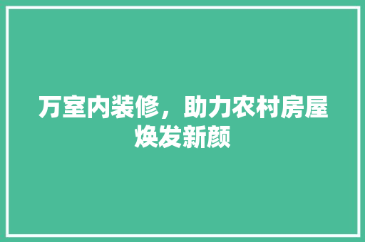 万室内装修，助力农村房屋焕发新颜 家居装修