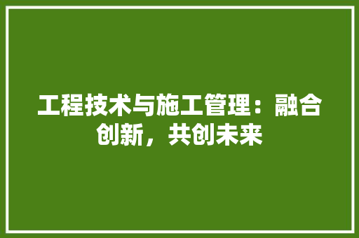 工程技术与施工管理：融合创新，共创未来 现代风格装饰