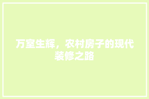 万室生辉，农村房子的现代装修之路 家居装修