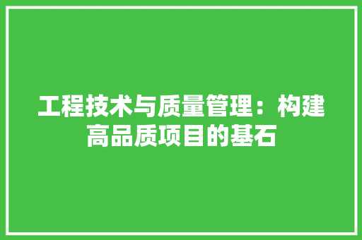 工程技术与质量管理：构建高品质项目的基石 现代风格装饰