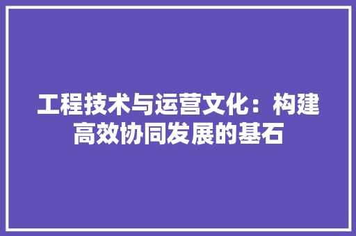 工程技术与运营文化：构建高效协同发展的基石 现代风格装饰