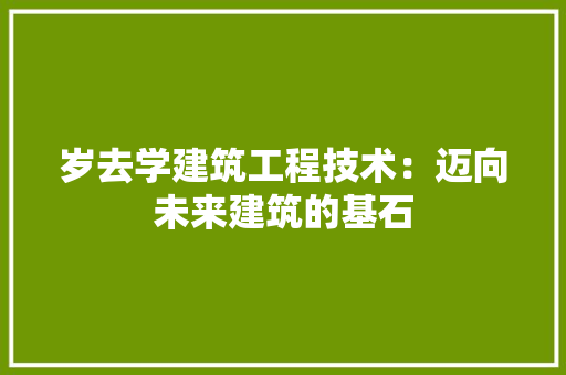 岁去学建筑工程技术：迈向未来建筑的基石 现代风格装饰