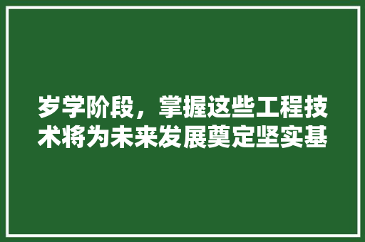 岁学阶段，掌握这些工程技术将为未来发展奠定坚实基础 现代风格装饰