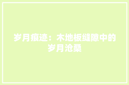 岁月痕迹：木地板缝隙中的岁月沧桑 现代风格装饰