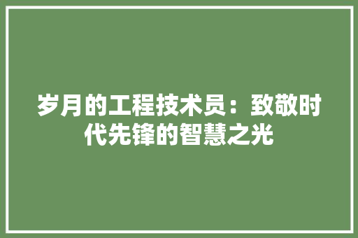 岁月的工程技术员：致敬时代先锋的智慧之光