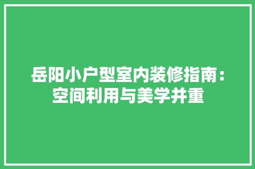 岳阳小户型室内装修指南：空间利用与美学并重 现代风格装饰
