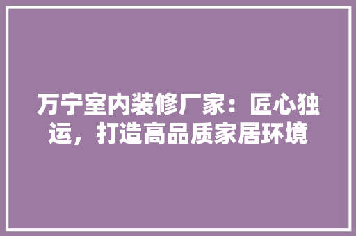 万宁室内装修厂家：匠心独运，打造高品质家居环境 家居装修