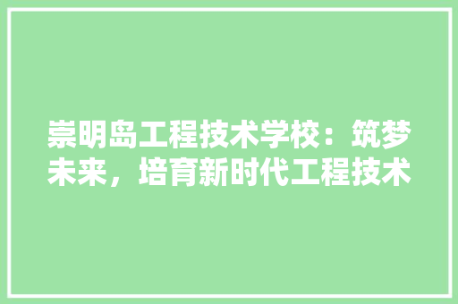 崇明岛工程技术学校：筑梦未来，培育新时代工程技术人才 现代风格装饰