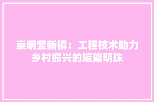 崇明竖新镇：工程技术助力乡村振兴的璀璨明珠