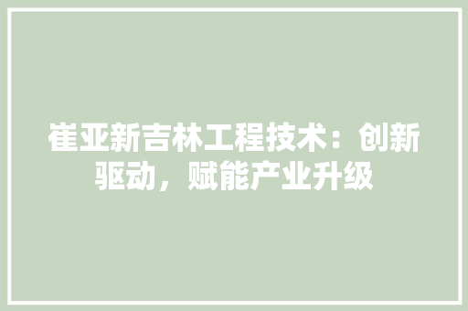 崔亚新吉林工程技术：创新驱动，赋能产业升级 现代风格装饰