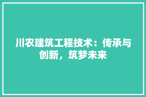 川农建筑工程技术：传承与创新，筑梦未来 现代风格装饰