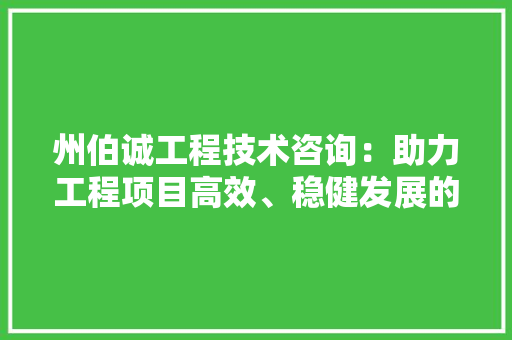 州伯诚工程技术咨询：助力工程项目高效、稳健发展的智慧之选