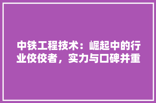 中铁工程技术：崛起中的行业佼佼者，实力与口碑并重的背后 家居装修