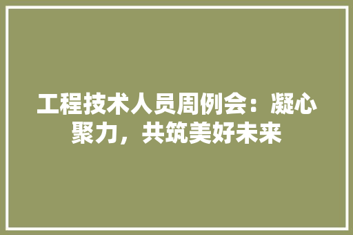 工程技术人员周例会：凝心聚力，共筑美好未来 现代风格装饰