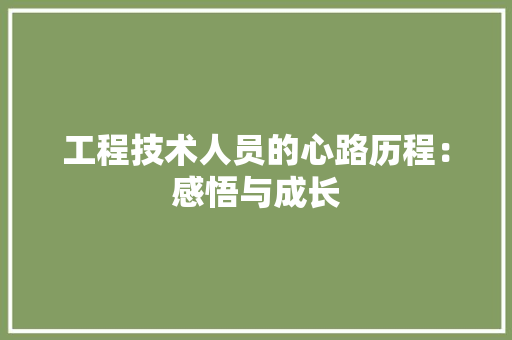 工程技术人员的心路历程：感悟与成长 现代风格装饰