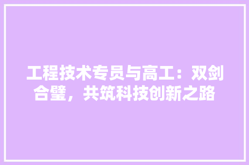工程技术专员与高工：双剑合璧，共筑科技创新之路 现代风格装饰