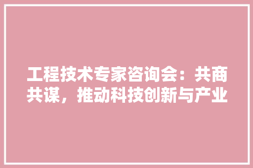 工程技术专家咨询会：共商共谋，推动科技创新与产业发展 现代风格装饰