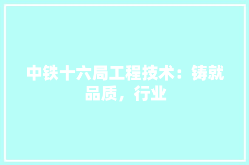中铁十六局工程技术：铸就品质，行业