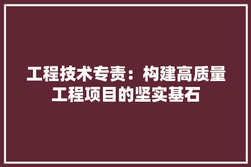 工程技术专责：构建高质量工程项目的坚实基石 现代风格装饰