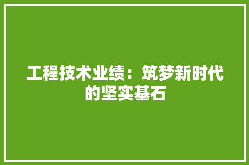 工程技术业绩：筑梦新时代的坚实基石 现代风格装饰