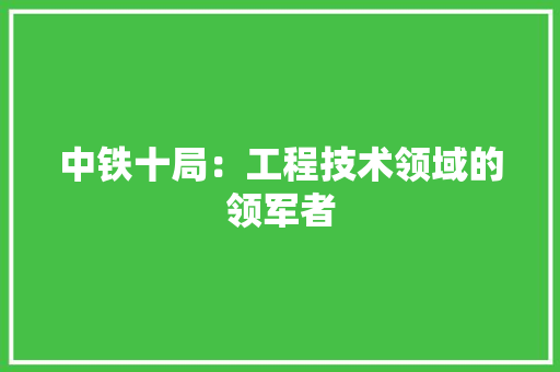 中铁十局：工程技术领域的领军者