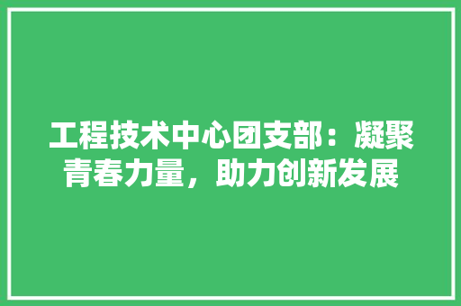 工程技术中心团支部：凝聚青春力量，助力创新发展