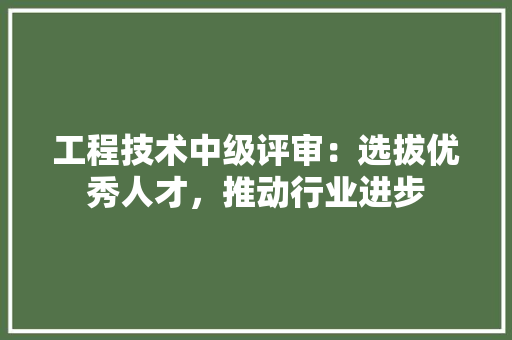 工程技术中级评审：选拔优秀人才，推动行业进步 现代风格装饰