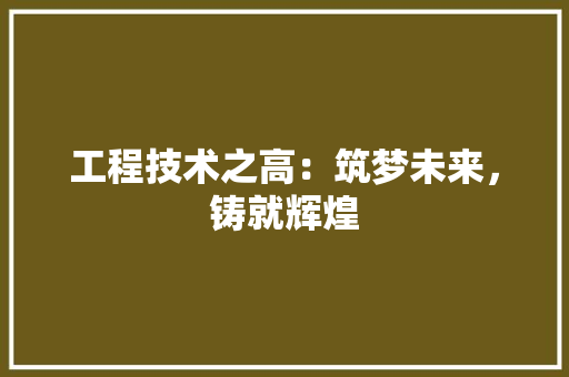 工程技术之高：筑梦未来，铸就辉煌 现代风格装饰