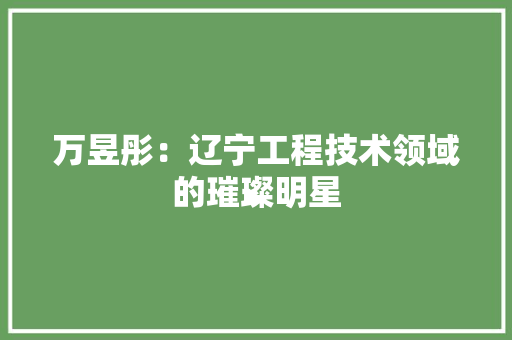 万昱彤：辽宁工程技术领域的璀璨明星 家居装修