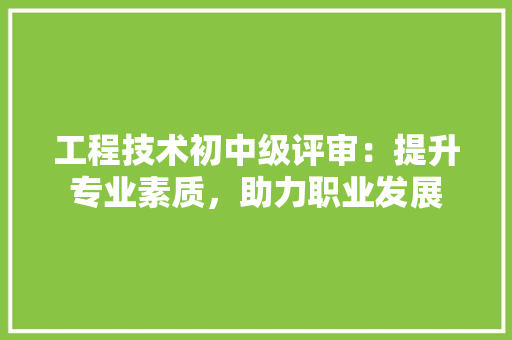 工程技术初中级评审：提升专业素质，助力职业发展 现代风格装饰
