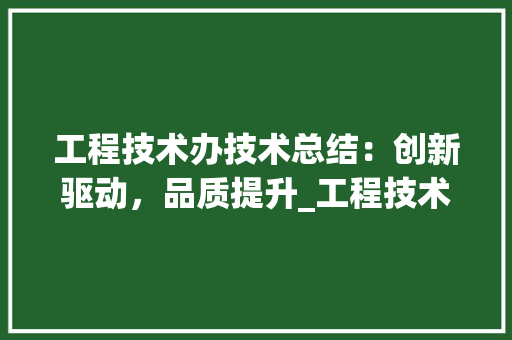 工程技术办技术总结：创新驱动，品质提升_工程技术领域的辉煌成果与未来展望 现代风格装饰